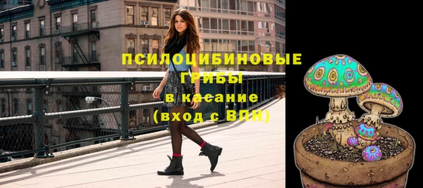 ECSTASY Всеволожск